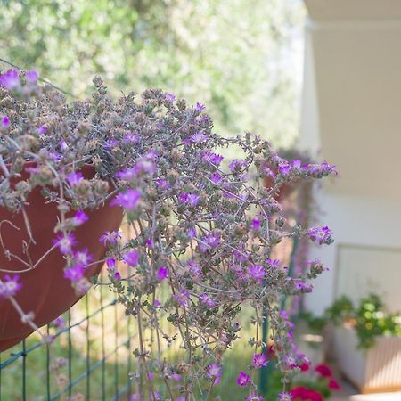 Arbi Case Vacanze Mattinata Exteriér fotografie